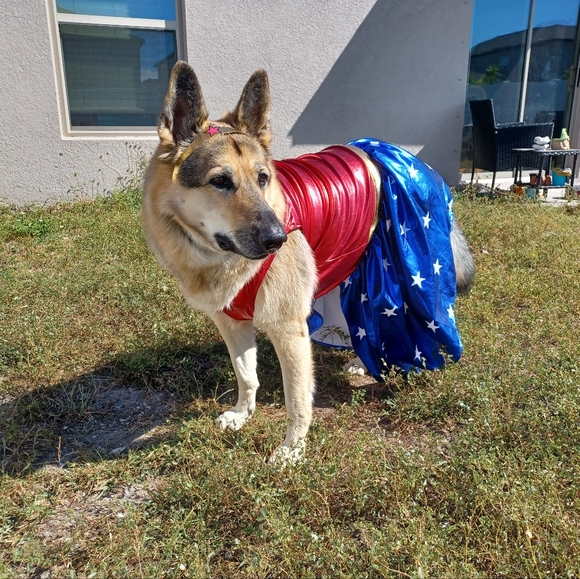 MISS RUBY - HAPPY 7TH BIRTHDAY!!! - Picture 6 of 16